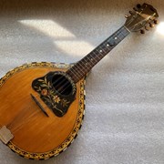 Cover image of  Mandolin